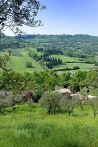 B&B CasaSelita - 18