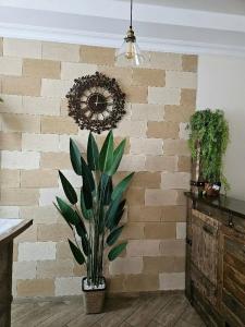 START Moskovskaya - 44