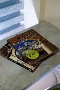 Gibrid-otel Risor - 38