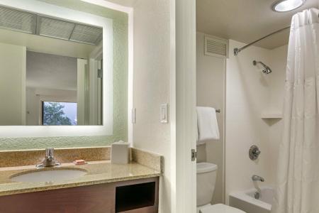Wyndham Garden Lake Buena Vista – Disney Springs® Area - 89