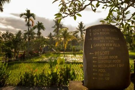 Alpin Resort and Villa Ubud - 49