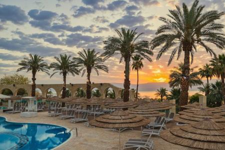 Brown Dead Sea - 11
