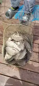 Tihiy Prichal Tourist base - 74