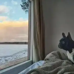 Zagorodnayy Klub Lesnaya Skazka - 22