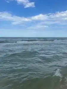 Zolotye peski Tourist base - 85