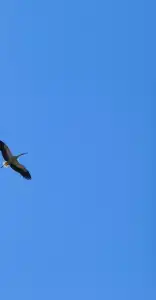 Park-EkoBel Kolbovichi - 98