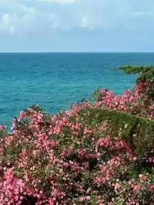 COOCOOROOZA Resort - 28