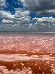 Ribera Resort&SPA - 29