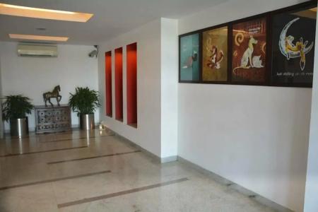 Red Fox, Jaipur - 17