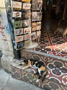 World House Boutique - 13