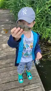 Guest house Karpolov Park - 40