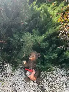 Sanatorium Bakirovo - 66