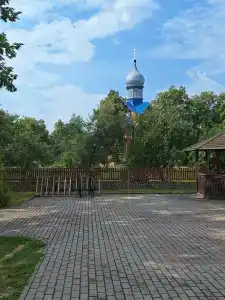 Belovezhskaya pushcha №2 - 21