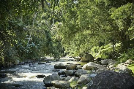 Four Seasons Resort Bali at Sayan - 79