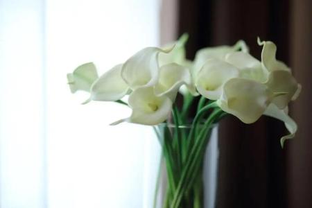 Stelle The Businest - 17