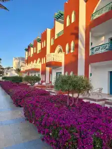 Sunrise Garden Beach Resort - 0