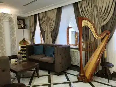 Butik-otel Magic harp - 95