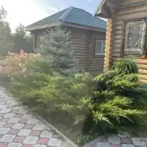 Lukomorye Tourist base - 15