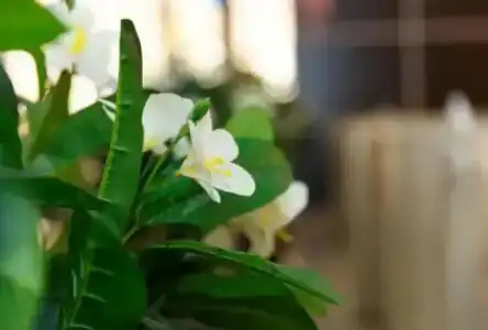 Marton Business - 23