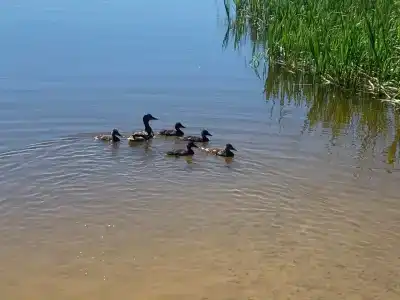 Panskiy dvor Tourist base - 10