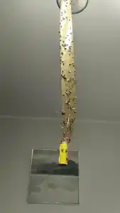 Камыши база отдыха - 40