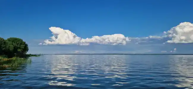 Usadba Pleshanova - 28