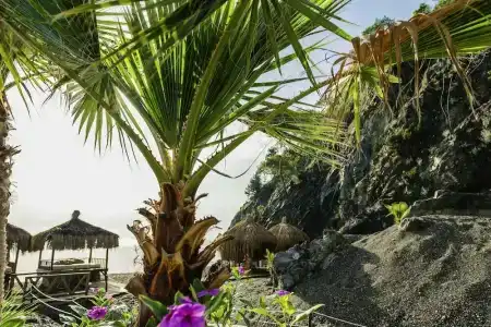 Robinson Camyuva - Adults Only - 87