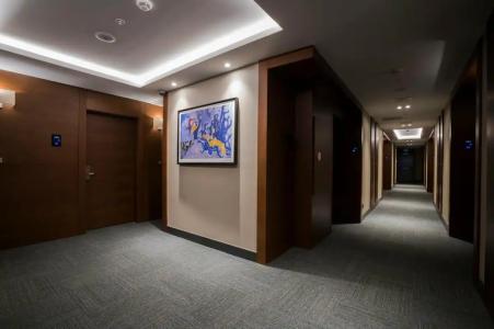 Radisson Blu Ankara Cankaya - 23