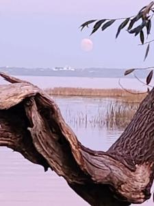 Urev Tourist base - 31