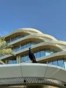 JA Lake View, Dubai - 81
