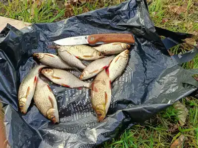 Guest house Karpolov Park - 41