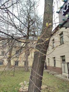 Kaufman Living Quarters - 54