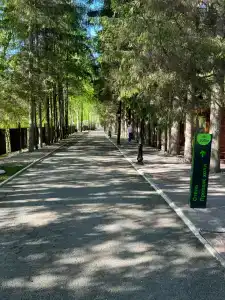 Lel Eko-Kompleks - 15