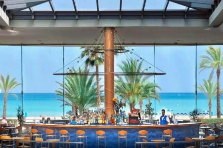 Kaktus Kaktus Albir - 25