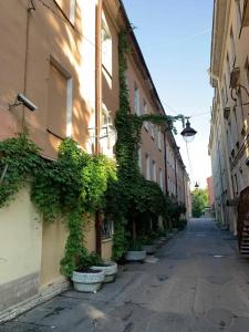 Трезини Арт-отель - 74