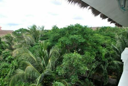 Allezboo Beach Resort & Spa - 76