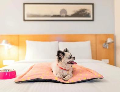 ibis Bengaluru Hosur Road - An Accor Brand - 12