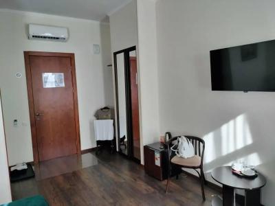 Соната на Владимирской площади - 99