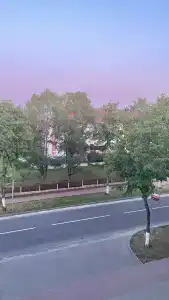 Belovezhskaya pushcha №2 - 37