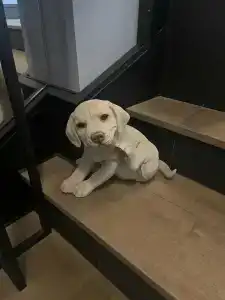 Zalkind Rooms & Kitchen - 14