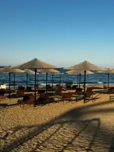 ОАЗИС домики - 95