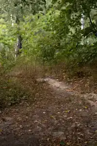 Zagorodny Klub Krivoborye Recreation Camp - 68
