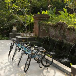 Element by Marriott Bali Ubud - 49