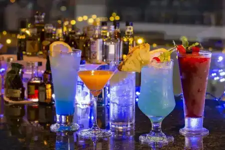 Premier -Cabin- - 26