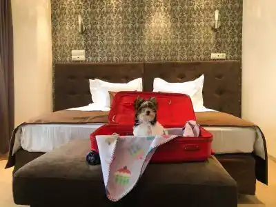 Gostinitsa Volna - 96