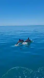 Im. Chelyuskintsev Sanatorium - 14