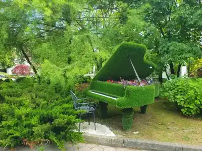 Odisseya Resort - 46