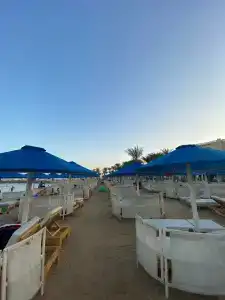 Beach Albatros Resort - 75