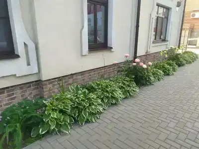 Stariy Dvorik on Orlovskaya - 30