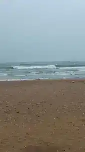 Zhemchuzhina Yuga Tourist base - 80